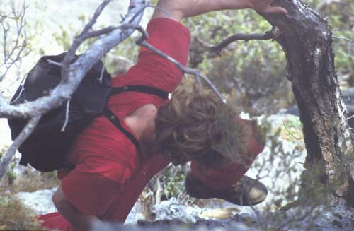 880313-Tuerkei-Buessing-051