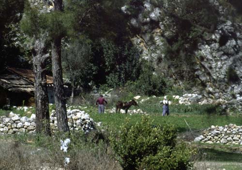 880313-Tuerkei-Buessing-100