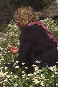 880313-Tuerkei-Buessing-027