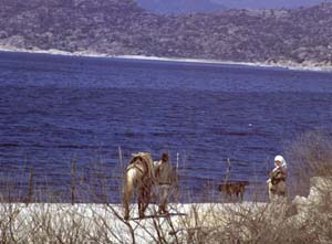 880313-Tuerkei-Buessing-041