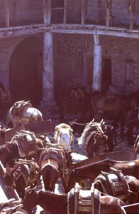 880313-Tuerkei-Buessing-043