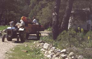 880313-Tuerkei-Buessing-070