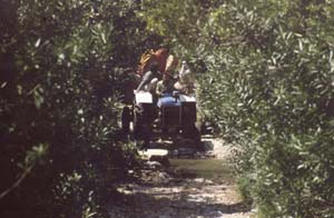 880313-Tuerkei-Buessing-074