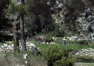 880313-Tuerkei-Buessing-100