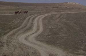 880313-Tuerkei-Buessing-105