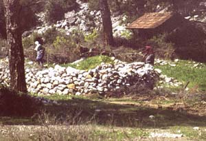 880313-Tuerkei-Buessing-135