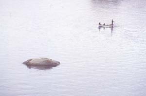 880313-Tuerkei-Buessing-139