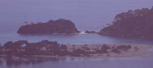 880313-Tuerkei-Buessing-146