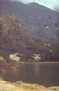 880313-Tuerkei-Buessing-151