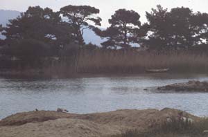 880313-Tuerkei-Buessing-154