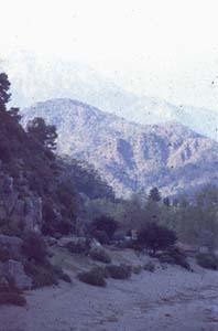 880313-Tuerkei-Buessing-165