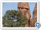 USA-Suedwest-231003-2584-Arches-National-Park