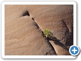 USA-Suedwest-231003-2647-Arches-National-Park