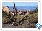 USA-Suedwest-231003-2649-Arches-National-Park