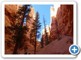 USA-Suedwest-231003-2143-Bryce-Canyon