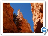 USA-Suedwest-231003-2144-Bryce-Canyon