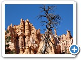 USA-Suedwest-231003-2151-Bryce-Canyon