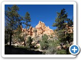 USA-Suedwest-231003-2172-Bryce-Canyon