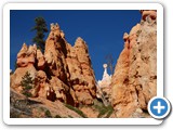 USA-Suedwest-231003-2175-Bryce-Canyon