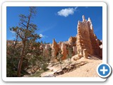 USA-Suedwest-231003-2181-Bryce-Canyon
