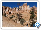 USA-Suedwest-231003-2183-Bryce-Canyon