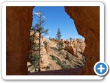 USA-Suedwest-231003-2185-Bryce-Canyon