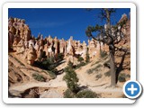 USA-Suedwest-231003-2186-Bryce-Canyon