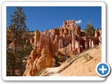 USA-Suedwest-231003-2191-Bryce-Canyon