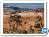 USA-Suedwest-231003-2213-Bryce-Canyon