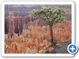 USA-Suedwest-231003-2255-Bryce-Canyon