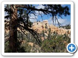 USA-Suedwest-231003-2269-Bryce-Canyon
