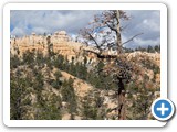 USA-Suedwest-231003-2274-Bryce-Canyon