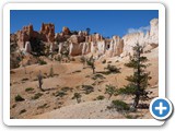 USA-Suedwest-231003-2290-Bryce-Canyon