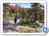 USA-Suedwest-231003-2295-Bryce-Canyon