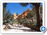 USA-Suedwest-231003-2298-Bryce-Canyon