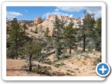 USA-Suedwest-231003-2304-Bryce-Canyon