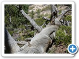 USA-Suedwest-231003-2342-Bryce-Canyon