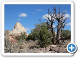 USA-Suedwest-231003-2386-Capitol-Reef-National-Park