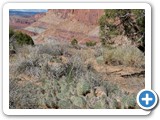 USA-Suedwest-231003-2388-Capitol-Reef-National-Park