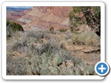 USA-Suedwest-231003-2388-Capitol-Reef-National-Park