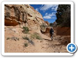 USA-Suedwest-231003-2403-Capitol-Reef-National-Park