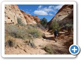 USA-Suedwest-231003-2406-Capitol-Reef-National-Park