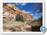 USA-Suedwest-231003-2414-Capitol-Reef-National-Park