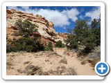 USA-Suedwest-231003-2417-Capitol-Reef-National-Park