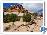 USA-Suedwest-231003-2419-Capitol-Reef-National-Park