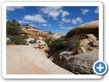 USA-Suedwest-231003-2421-Capitol-Reef-National-Park