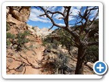 USA-Suedwest-231003-2430-Capitol-Reef-National-Park