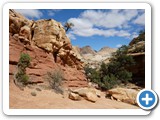 USA-Suedwest-231003-2431-Capitol-Reef-National-Park