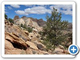 USA-Suedwest-231003-2440-Capitol-Reef-National-Park