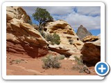 USA-Suedwest-231003-2451-Capitol-Reef-National-Park